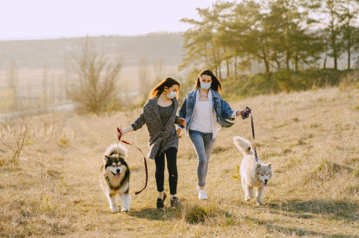 Two women wearing surgical masks, walking dogs
